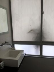Balmoral Crest (D10), Apartment #290851461